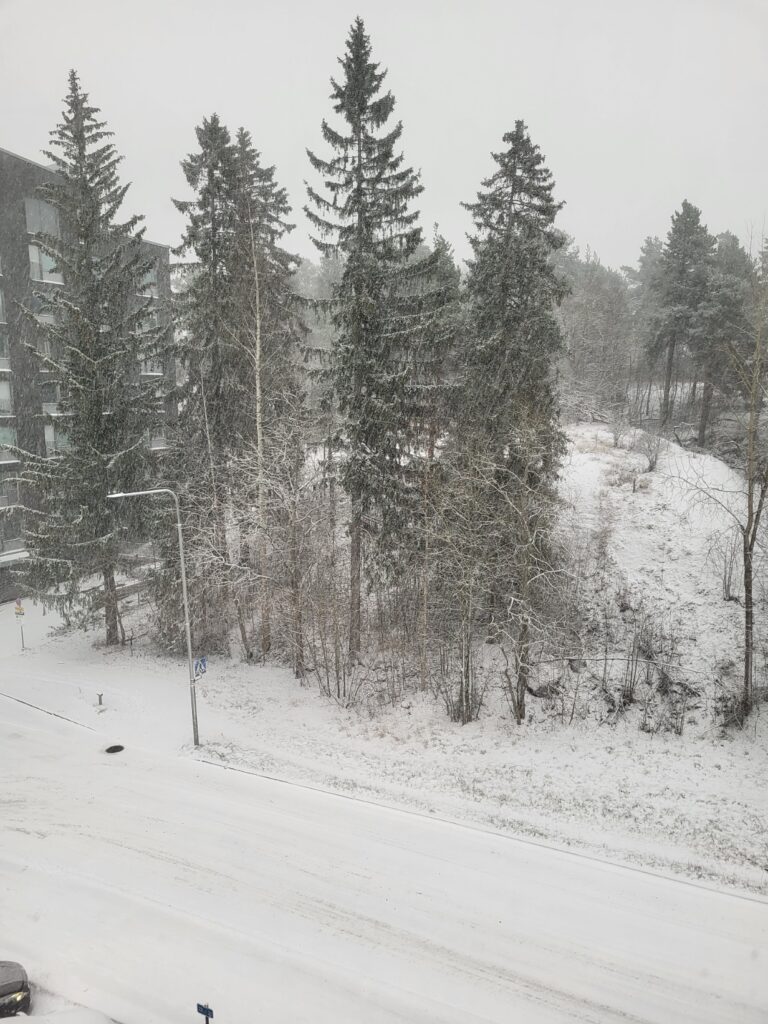 Eerste sneeuw in Tampere, Finland, een winters landschap