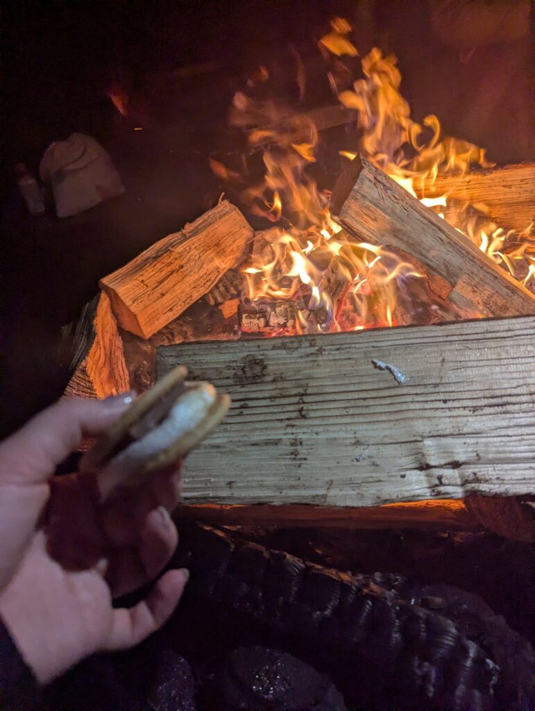 Guy Fawkes Day vieren met vuur en s'mores maken