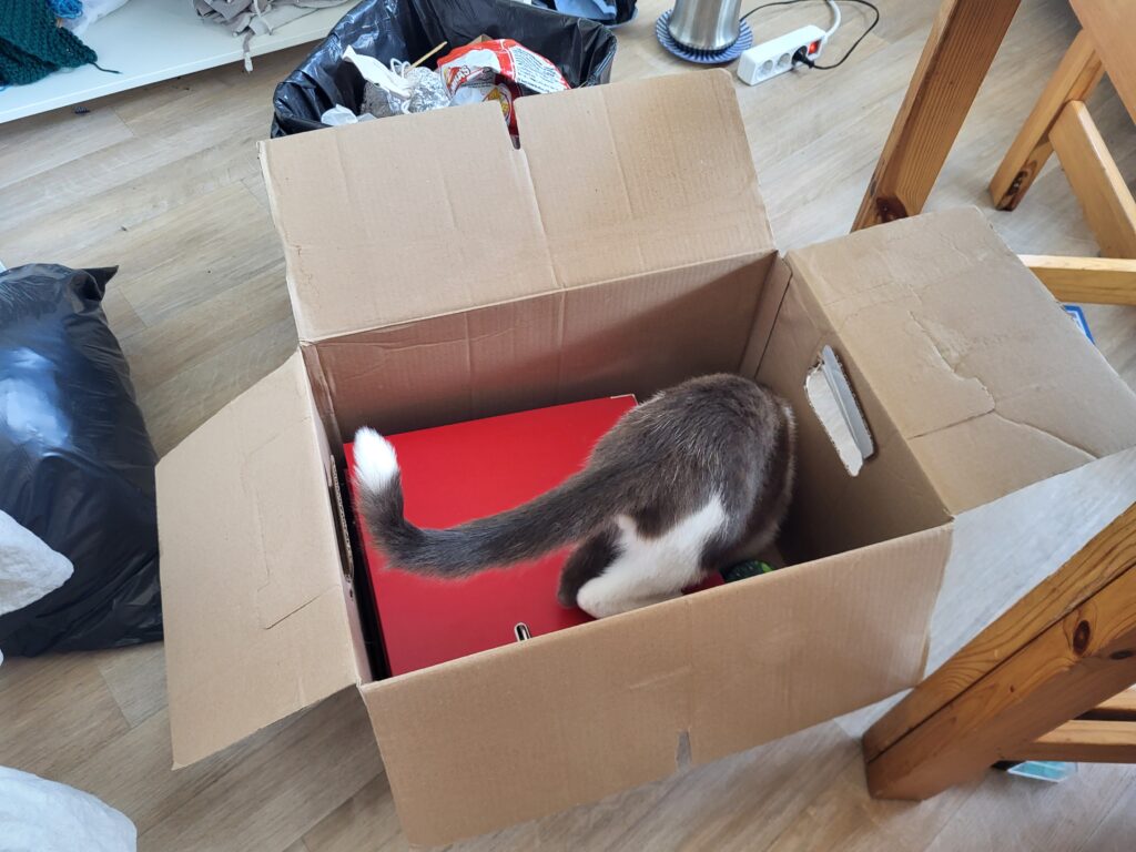 Onze wijk-kat wilde ook heel 