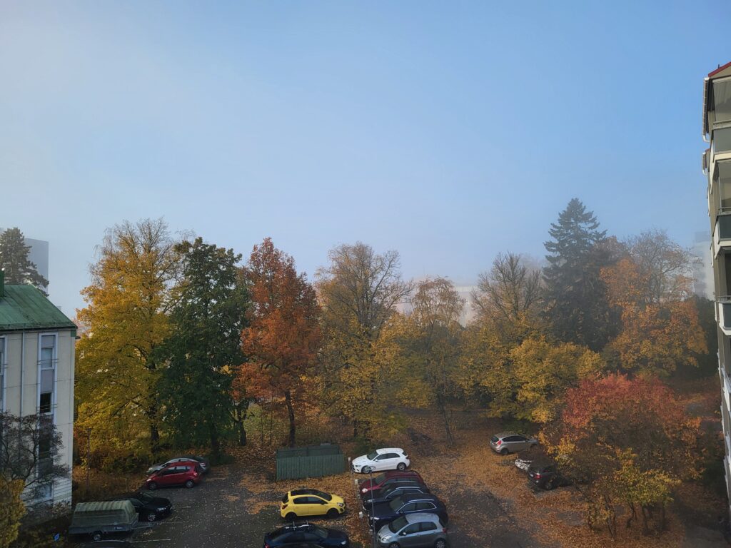 Een uitzicht van herfstbomen met een laag ochtendmist eroverheen